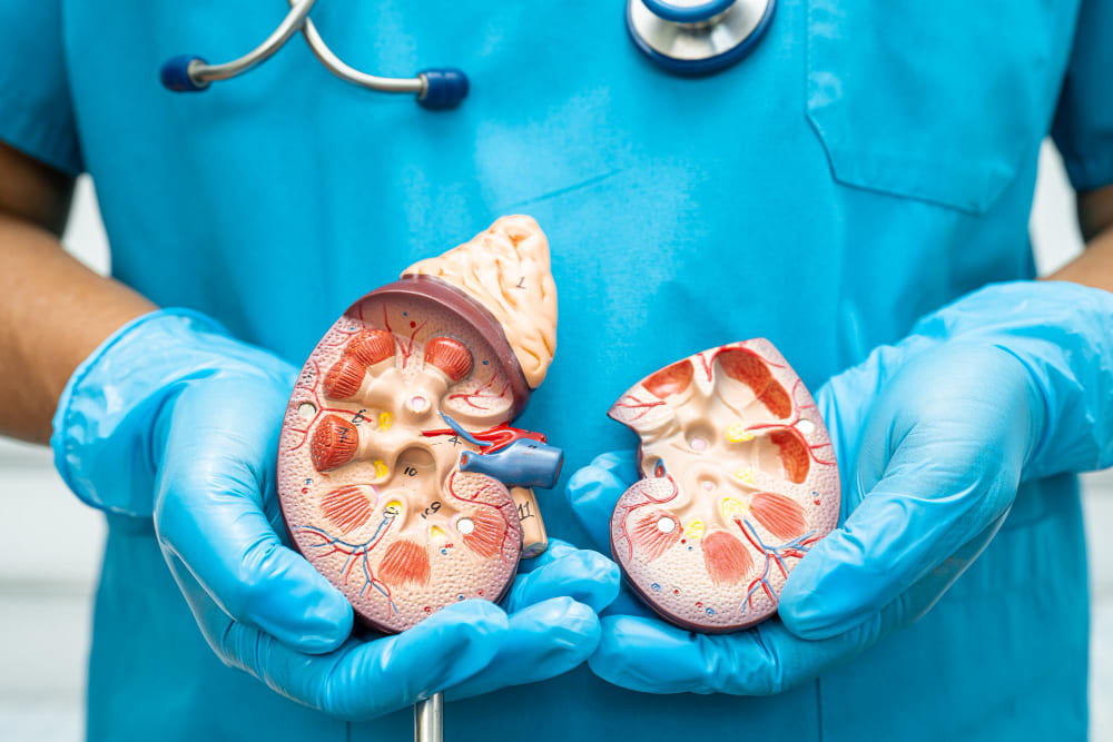 Nefrectomía en Ciudad de México